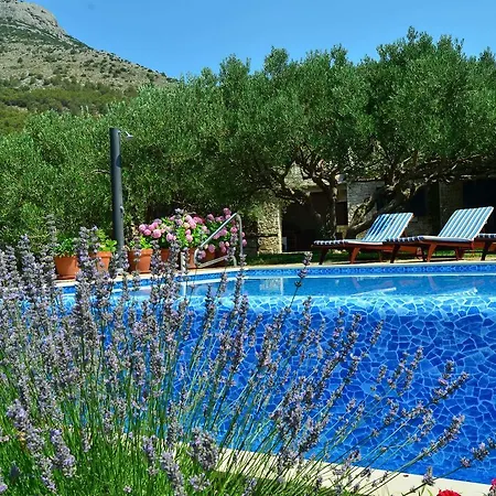 House Cvitanic Holiday home *